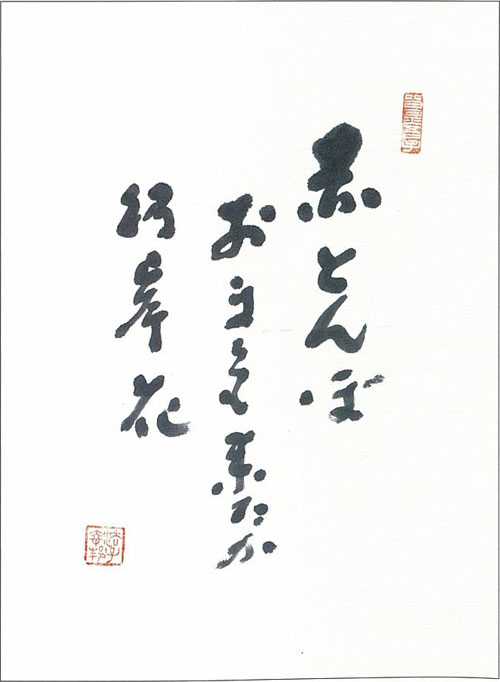 赤とんぼ　おまえも来たか　彼岸花