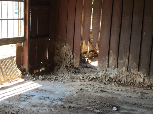 今年のものです。窓の下の板壁が抜けています。白アリの巣は少し削って、跡が残っています。