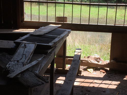 今年のものです。窓の下の板壁が抜けています。