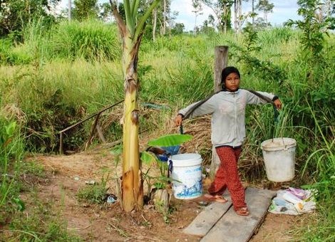 ① 沼までの水汲みは重労働です