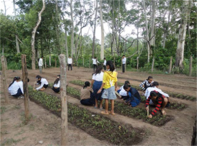 野菜栽培を始めた児童