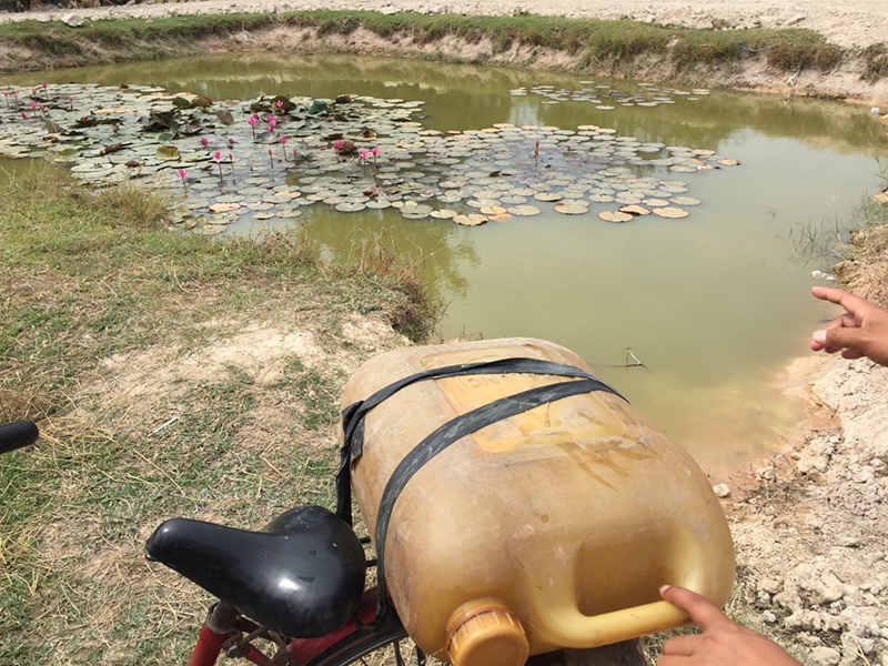 池の水を汲んで洗濯等に使用します。