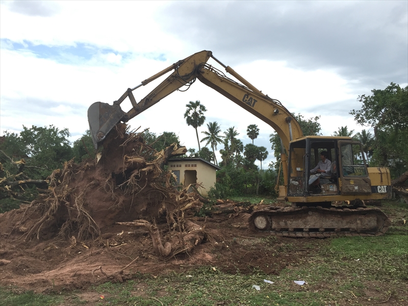 大木の伐採と整地
