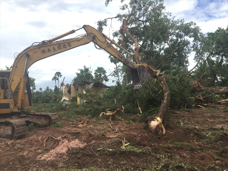 大木の伐採と整地
